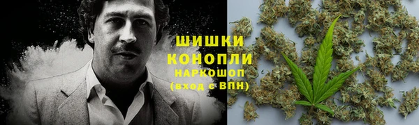 ешки Ладушкин