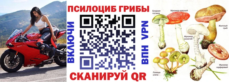 Галлюциногенные грибы Cubensis  Сокол 