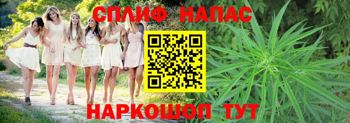 Сокол  Марихуана ГИДРОПОН  МАРИХУАНА гибрид  Вход с VPN  Шишки марихуана сатива  Шишки марихуана VHQ 